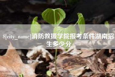 金坛消防救援学院报考条件湖南招生多少分