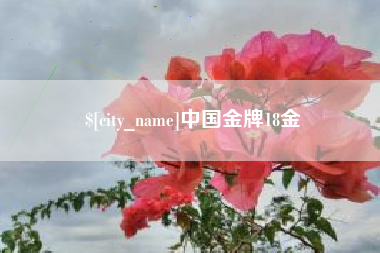 金坛中国金牌18金