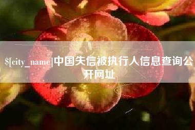 金坛中国失信被执行人信息查询公开网址