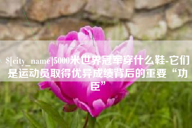 金坛5000米世界冠军穿什么鞋-它们是运动员取得优异成绩背后的重要“功臣”