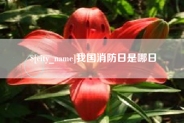 金坛我国消防日是哪日