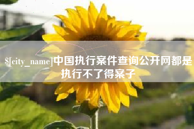 金坛中国执行案件查询公开网都是执行不了得案子