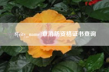金坛查消防资格证书查询