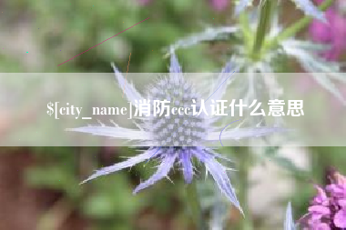 金坛消防ccc认证什么意思