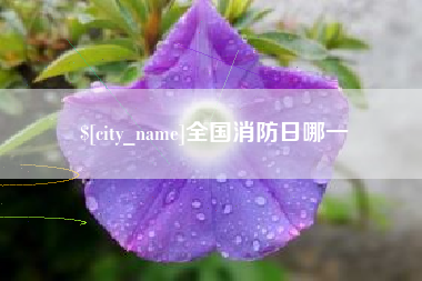 金坛全国消防日哪一