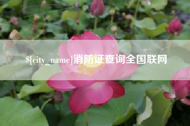 金坛消防证查询全国联网