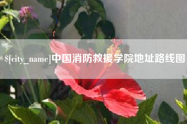 金坛中国消防救援学院地址路线图