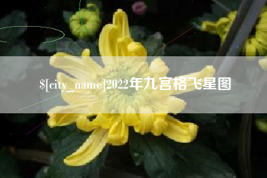 金坛2022年九宫格飞星图