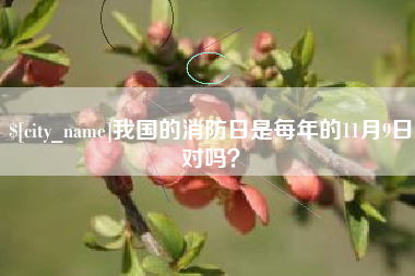 金坛我国的消防日是每年的11月9日对吗？