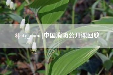 金坛中国消防公开课回放