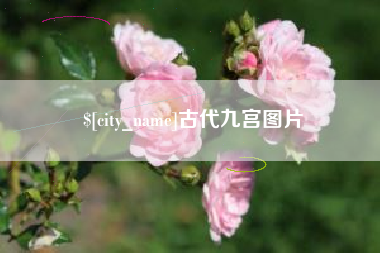 金坛古代九宫图片