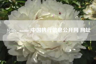 金坛中国执行信息公开网 网址