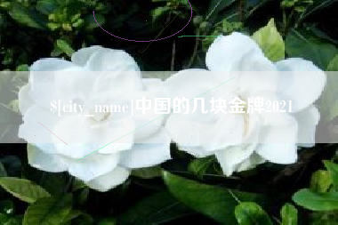 金坛中国的几块金牌2021