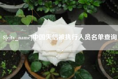 金坛中国失信被执行人员名单查询