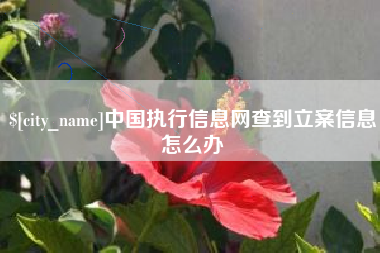 金坛中国执行信息网查到立案信息怎么办