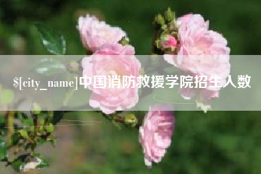 金坛中国消防救援学院招生人数