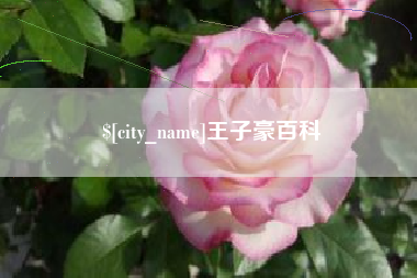 金坛王子豪百科