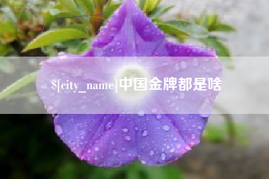 金坛中国金牌都是啥