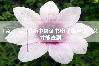 金坛消防中级证书电子版查询多久才能查到