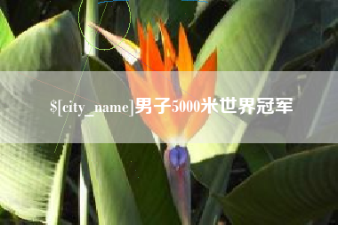 金坛男子5000米世界冠军