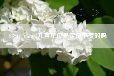 金坛九宫星位是定位不变的吗