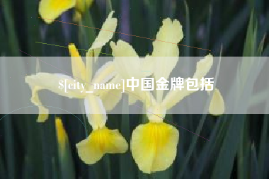 金坛中国金牌包括