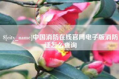 金坛中国消防在线官网电子版消防证怎么查询