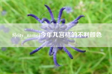 金坛今年九宫格的不利颜色