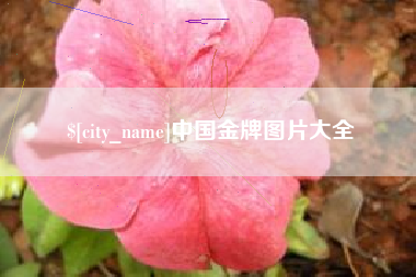 金坛中国金牌图片大全
