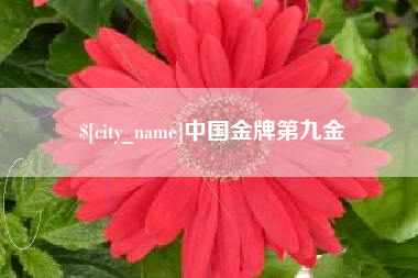 金坛中国金牌第九金