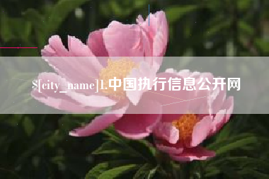 金坛1.中国执行信息公开网
