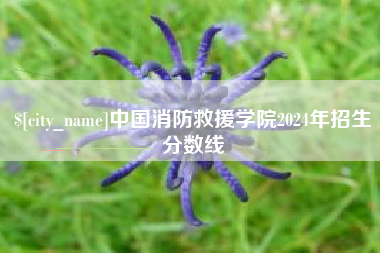 金坛中国消防救援学院2024年招生分数线
