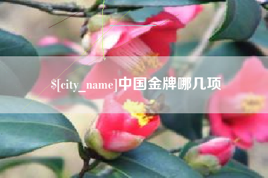 金坛中国金牌哪几项