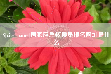 金坛国家应急救援员报名网址是什么