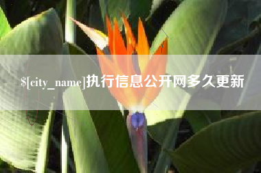 金坛执行信息公开网多久更新