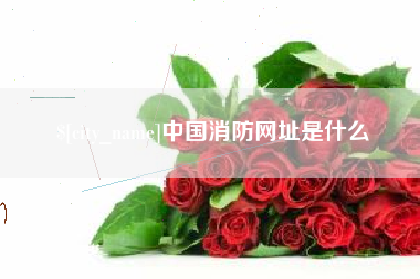 金坛中国消防网址是什么