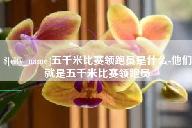 金坛五千米比赛领跑员是什么-他们就是五千米比赛领跑员