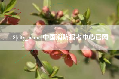 金坛中国消防报考中心官网