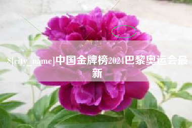 金坛中国金牌榜2024巴黎奥运会最新