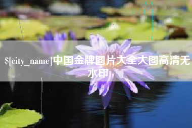金坛中国金牌图片大全大图高清无水印
