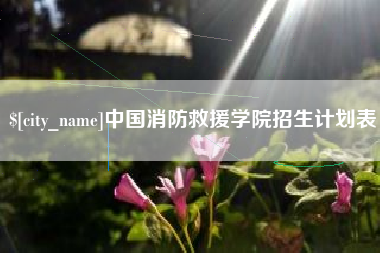 金坛中国消防救援学院招生计划表