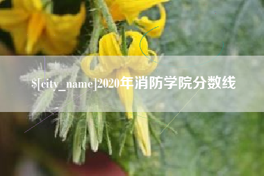 金坛2020年消防学院分数线