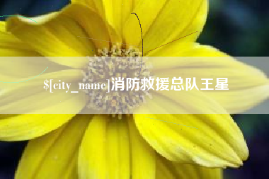 金坛消防救援总队王星