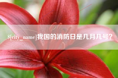 金坛我国的消防日是几月几号？