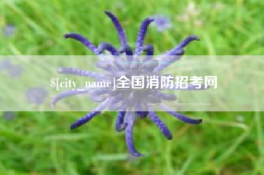金坛全国消防招考网