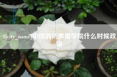 金坛中国消防救援学院什么时候政审