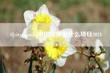 金坛中国金牌是什么项目2024