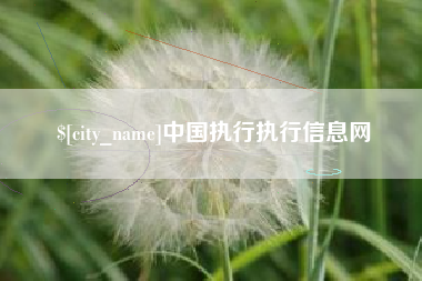 金坛中国执行执行信息网