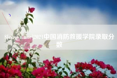 金坛2021中国消防救援学院录取分数