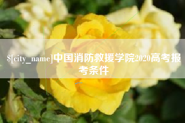 金坛中国消防救援学院2020高考报考条件